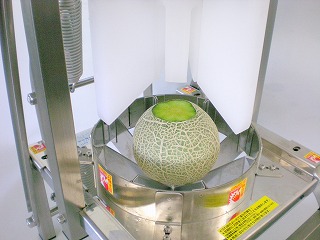 melon2